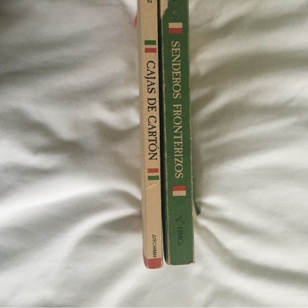 Spanish book bundle - Picture 7 of 7